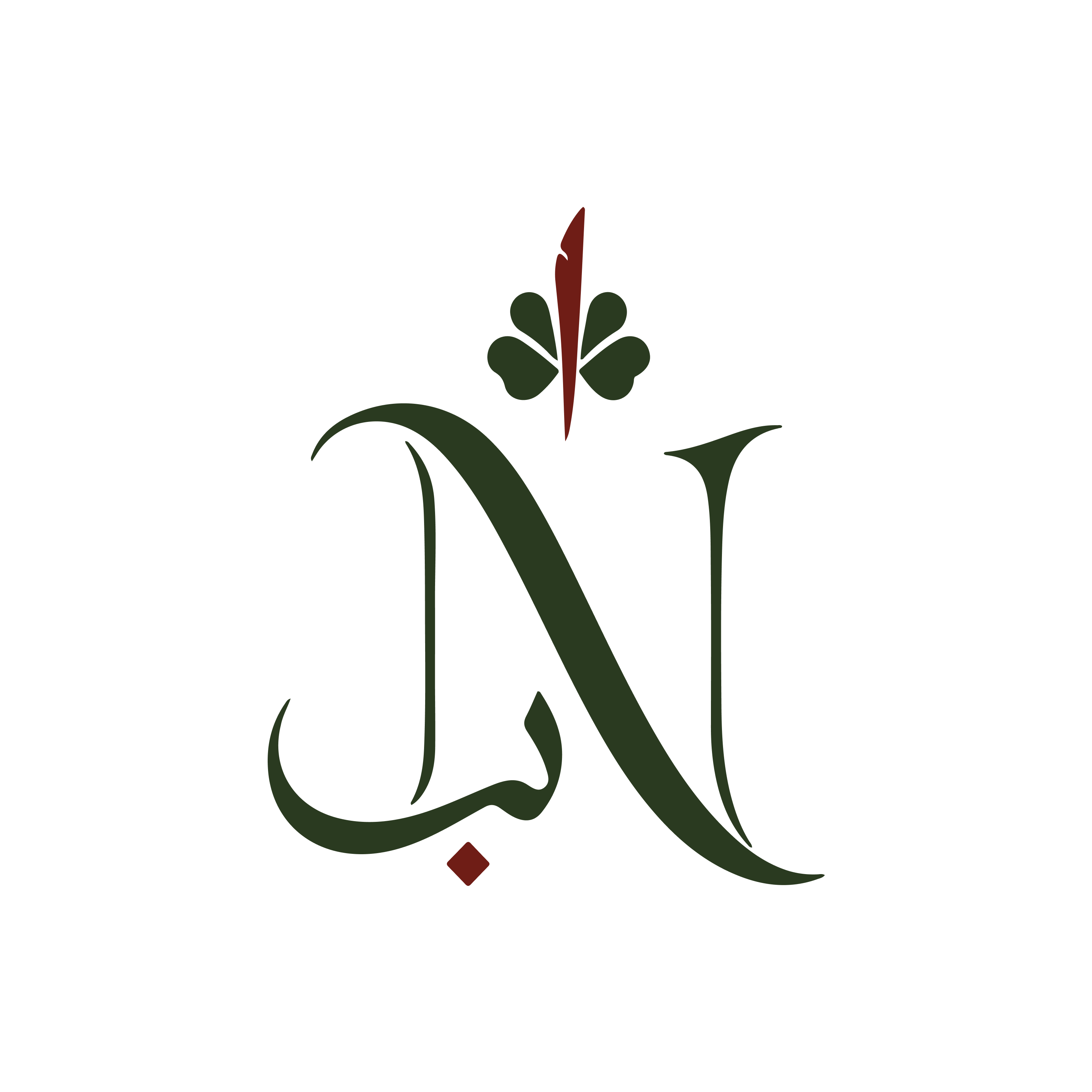 Nasib logo